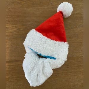 Bark Here Comes Santa Pause Hat & Beard